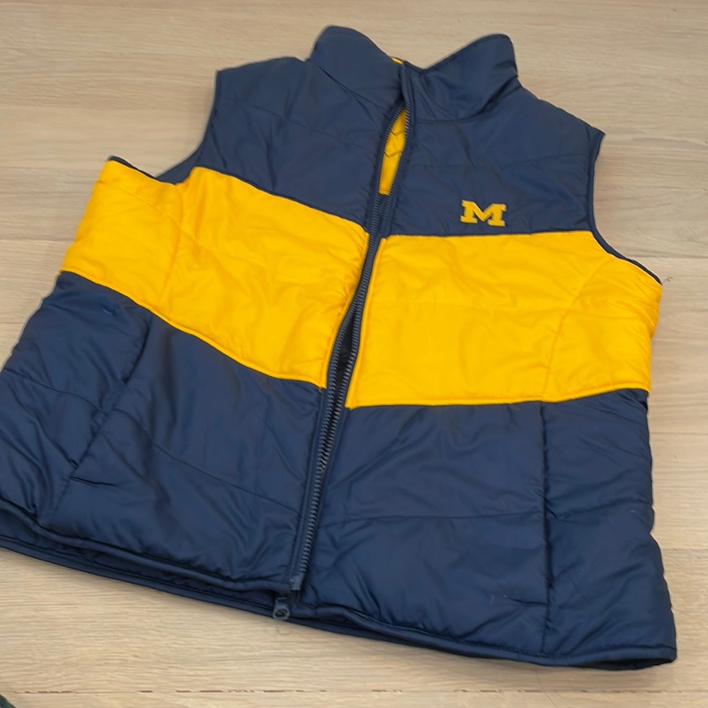 Reversible vest